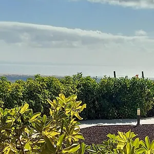 The Black Horse Canarias - Adults Only Maspalomas (Gran Canaria)